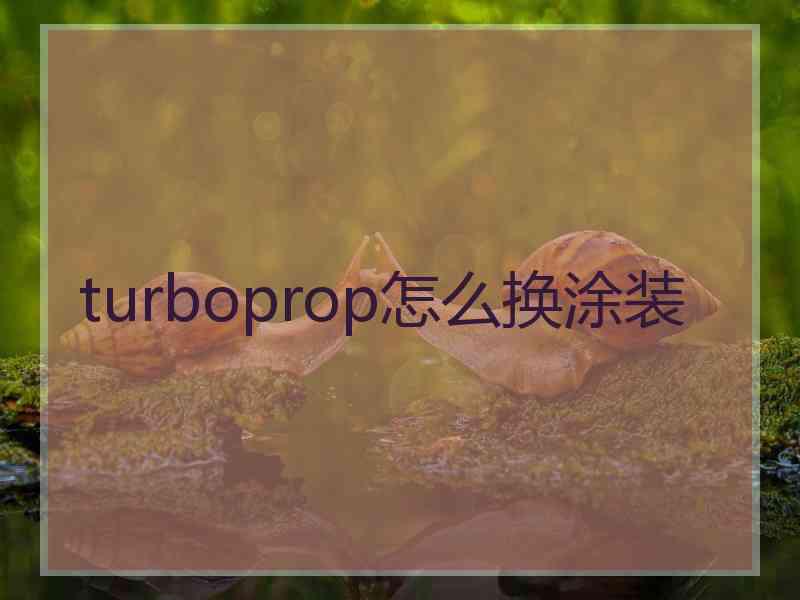 turboprop怎么换涂装