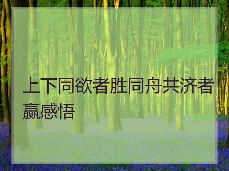 上下同欲者胜同舟共济者赢感悟