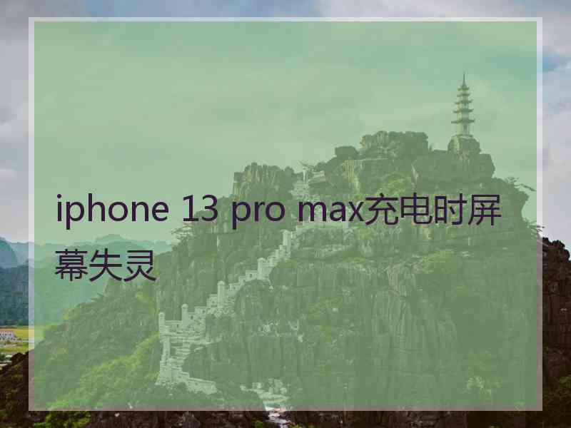 iphone 13 pro max充电时屏幕失灵