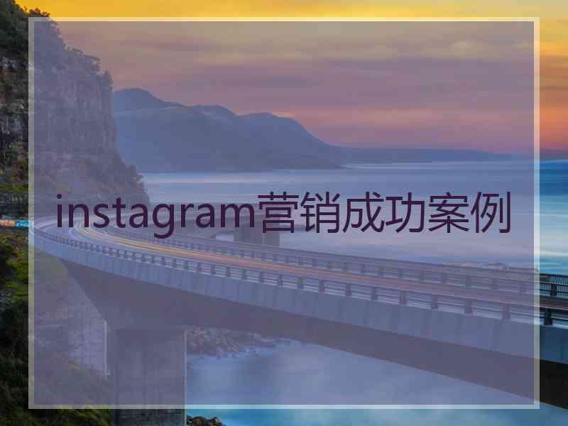 instagram营销成功案例