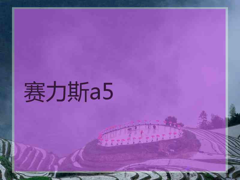 赛力斯a5