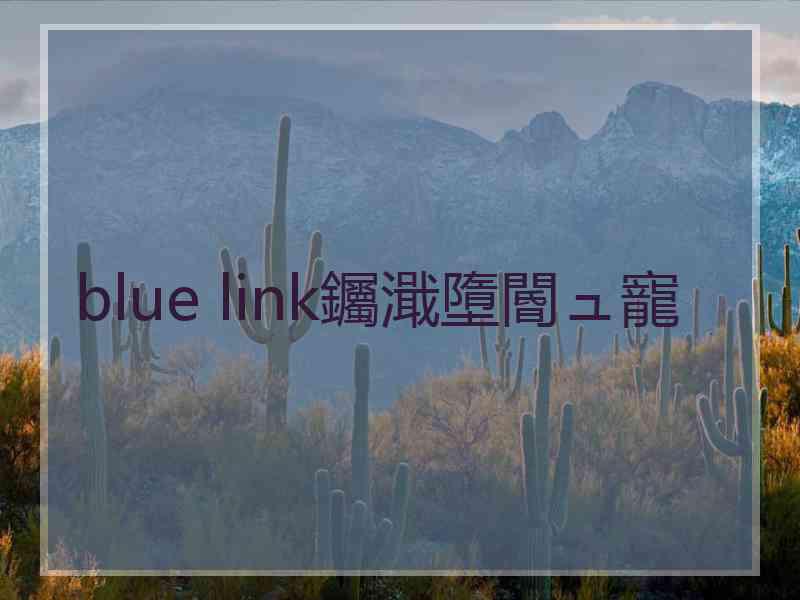 blue link钃濈墮閽ュ寵