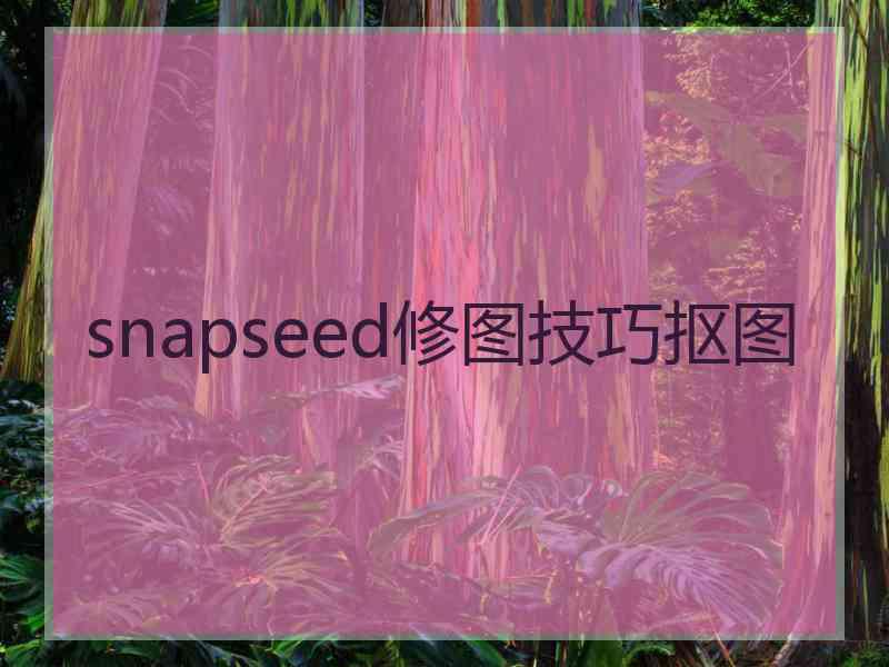 snapseed修图技巧抠图