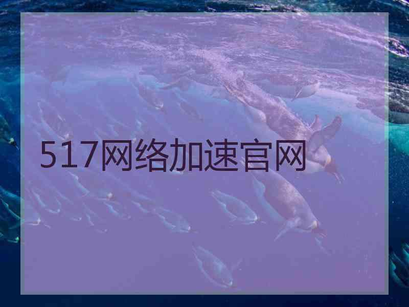 517网络加速官网