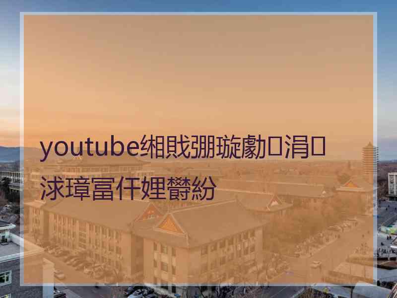 youtube缃戝弸璇勮涓浗璋冨仠娌欎紛