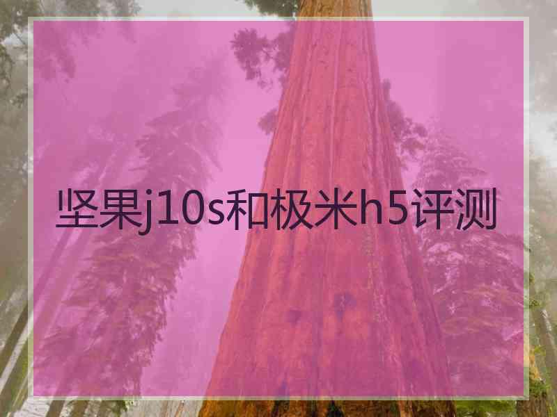 坚果j10s和极米h5评测