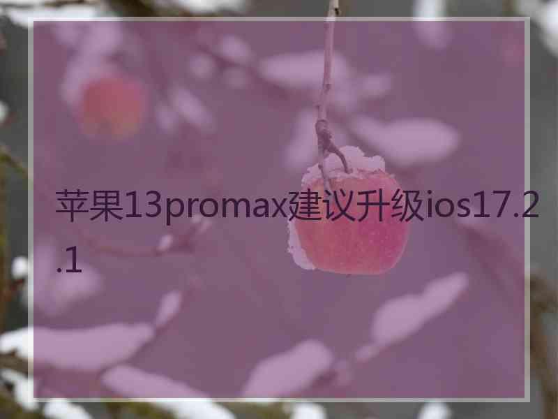 苹果13promax建议升级ios17.2.1