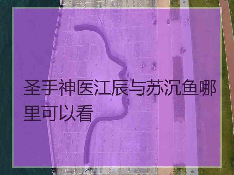 圣手神医江辰与苏沉鱼哪里可以看