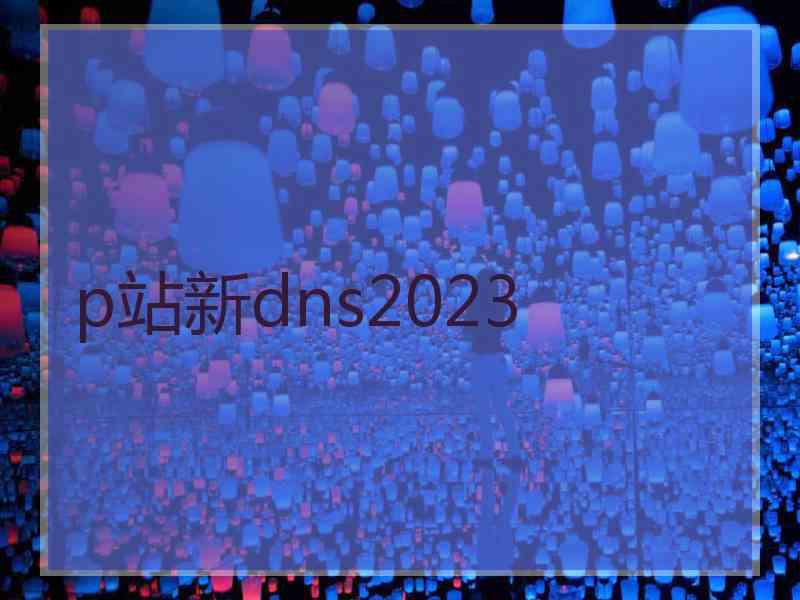 p站新dns2023