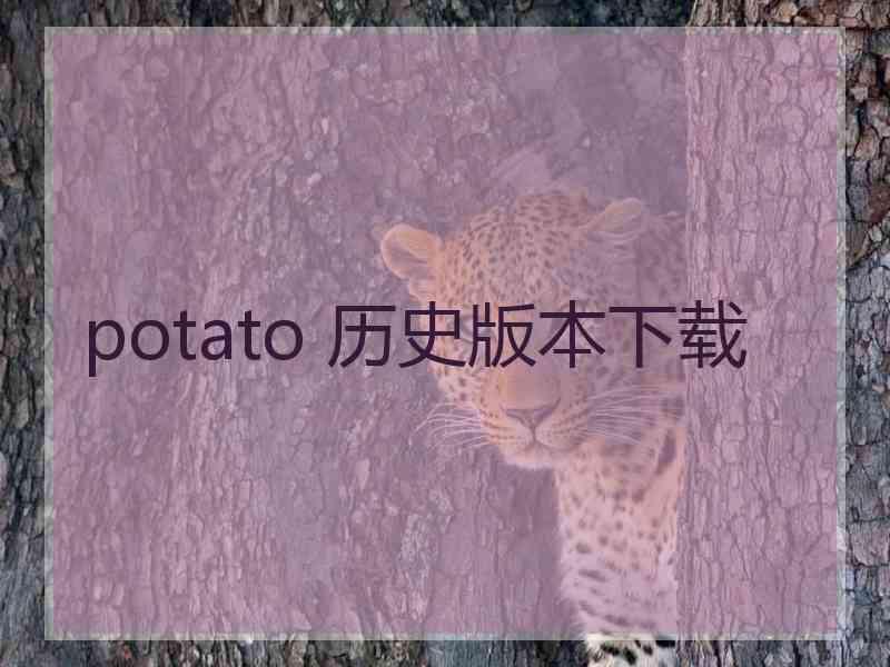 potato 历史版本下载