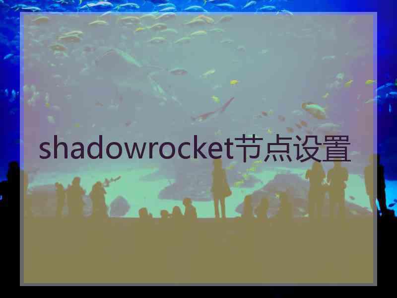 shadowrocket节点设置