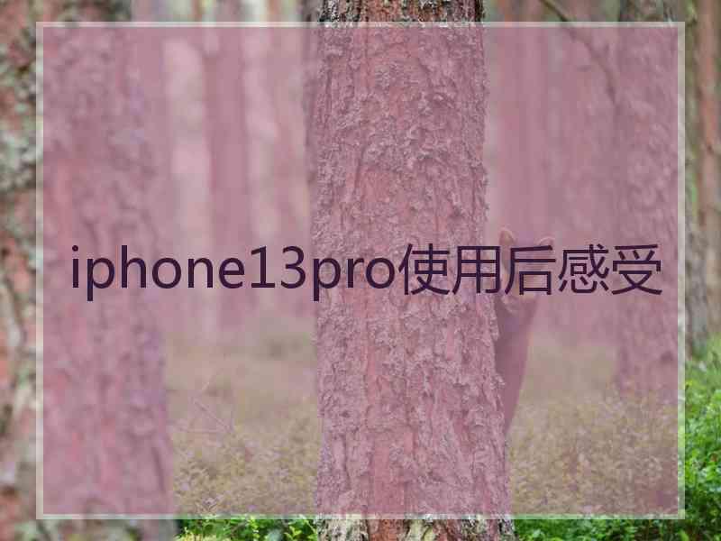 iphone13pro使用后感受