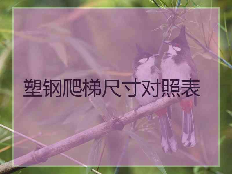 塑钢爬梯尺寸对照表