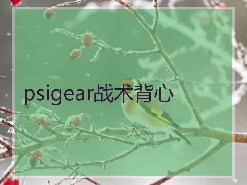 psigear战术背心