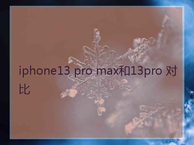 iphone13 pro max和13pro 对比