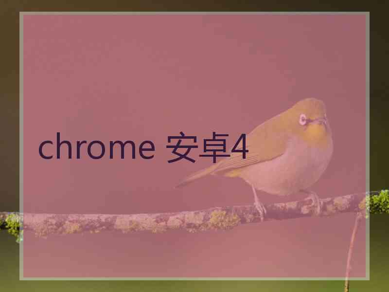 chrome 安卓4