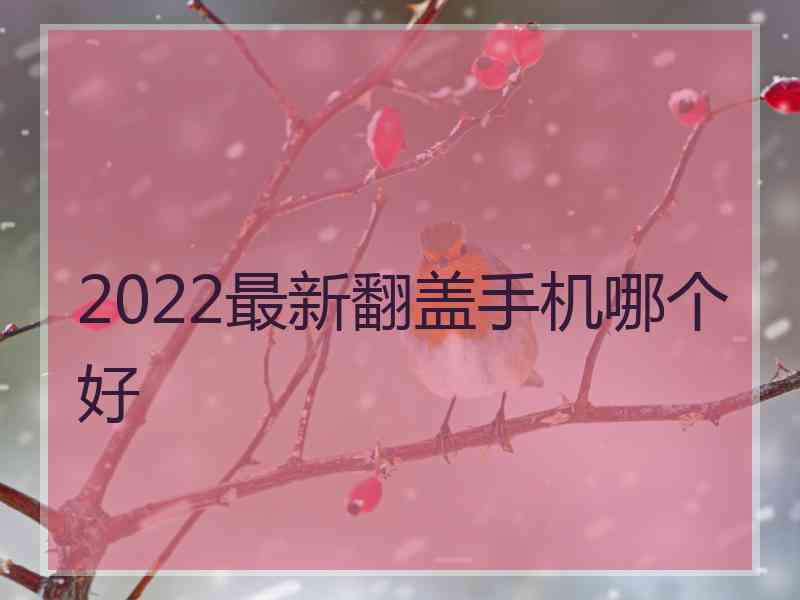 2022最新翻盖手机哪个好