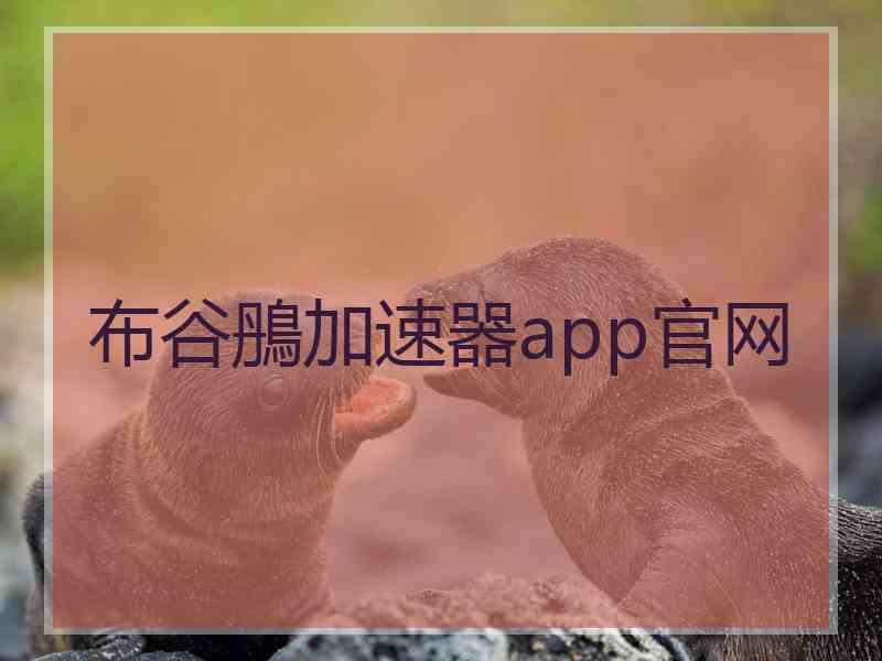 布谷鴅加速器app官网