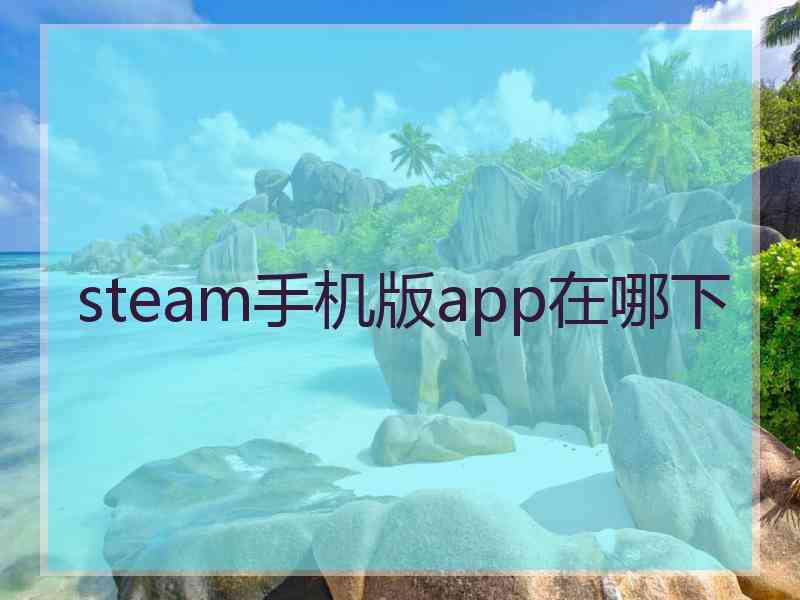 steam手机版app在哪下