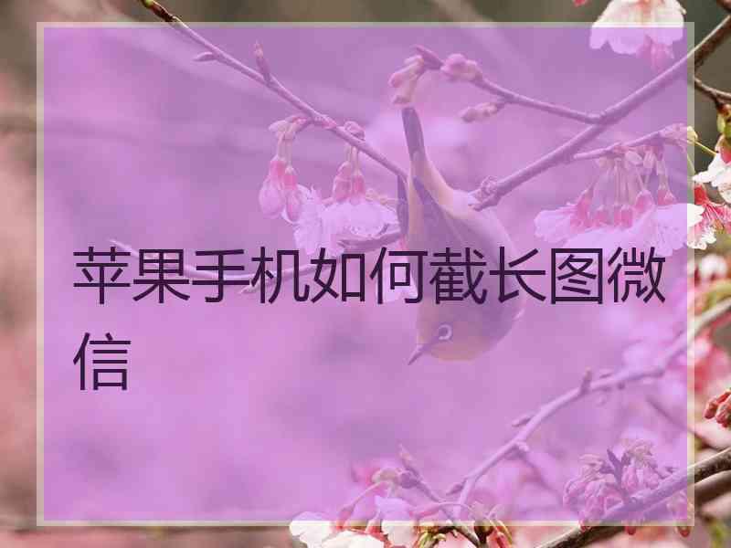 苹果手机如何截长图微信