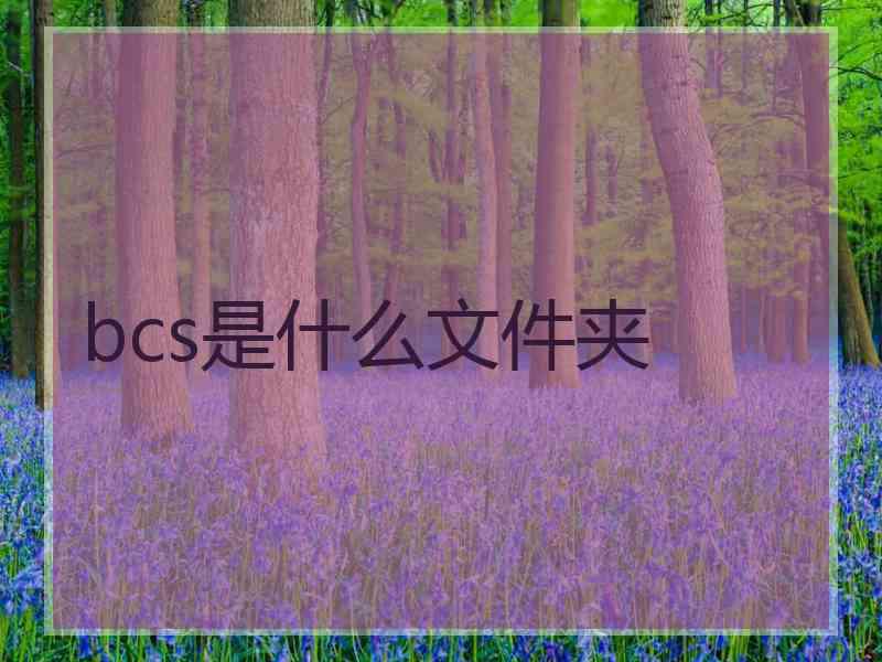 bcs是什么文件夹