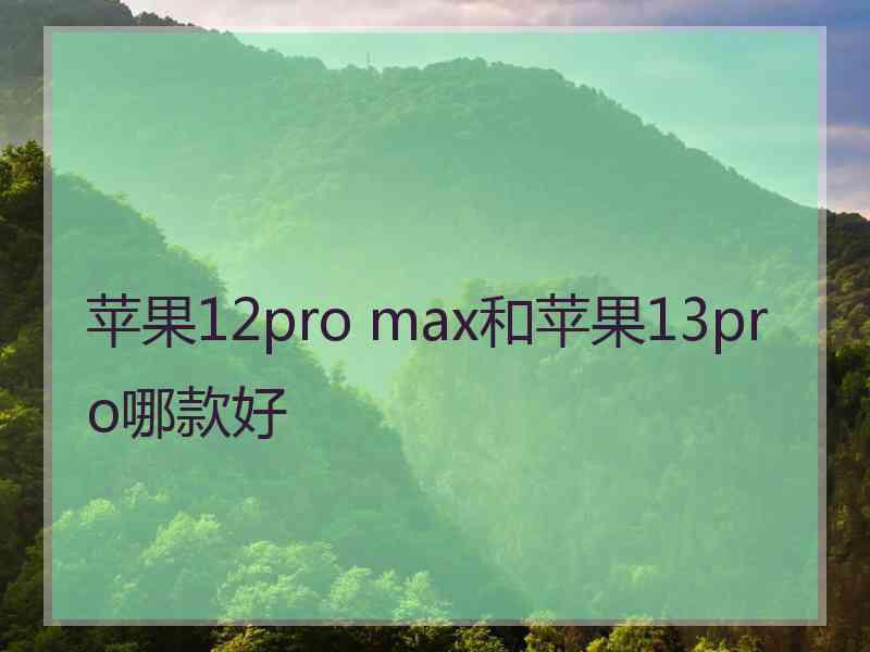 苹果12pro max和苹果13pro哪款好