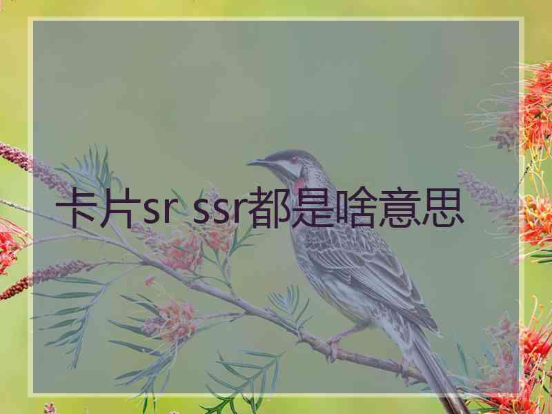 卡片sr ssr都是啥意思