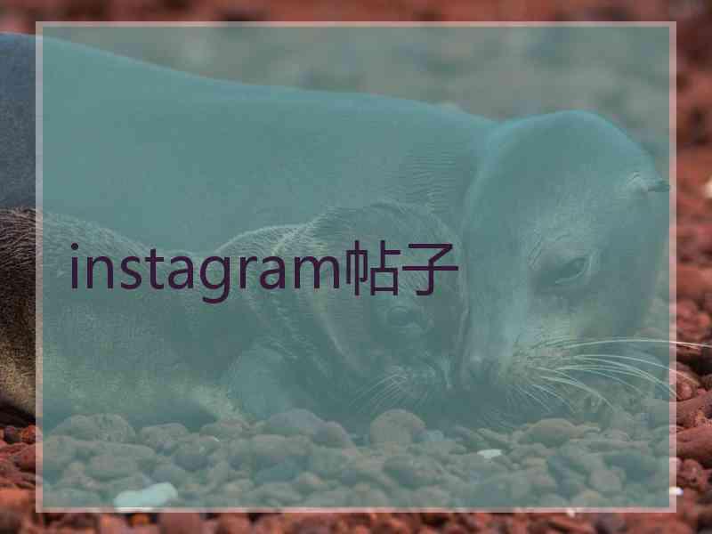 instagram帖子