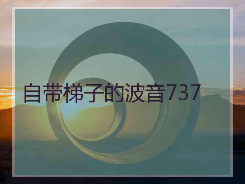 自带梯子的波音737