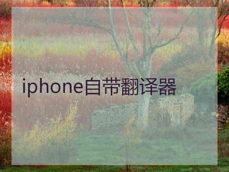 iphone自带翻译器