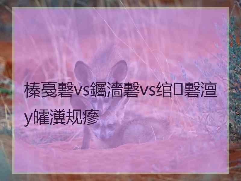 榛戞礊vs钃濇礊vs绾㈡礊澶у皬瀵规瘮