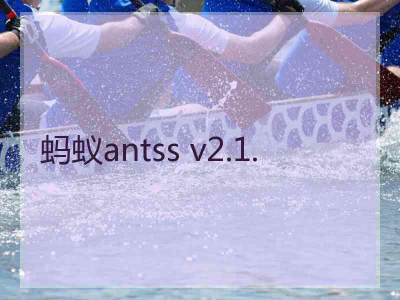 蚂蚁antss v2.1.