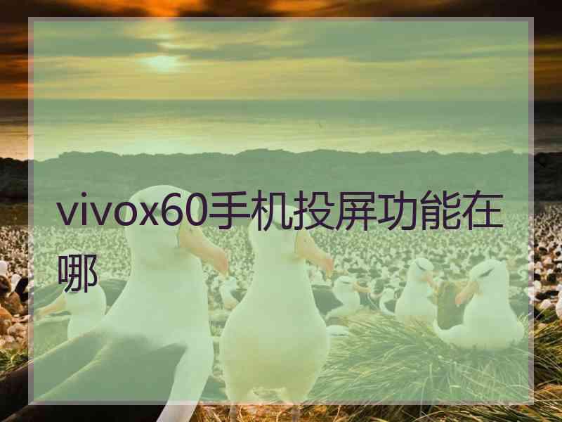 vivox60手机投屏功能在哪