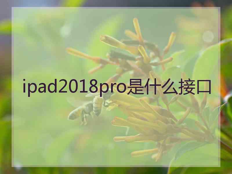 ipad2018pro是什么接口