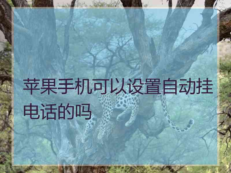 苹果手机可以设置自动挂电话的吗