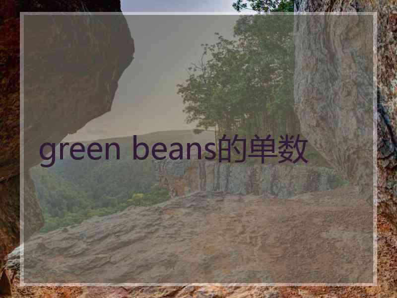 green beans的单数