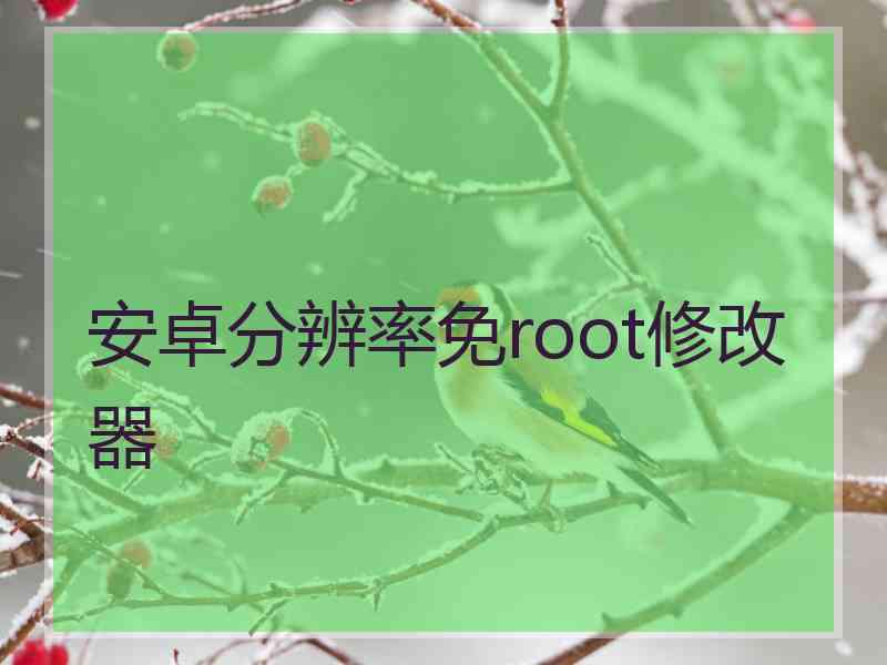 安卓分辨率免root修改器