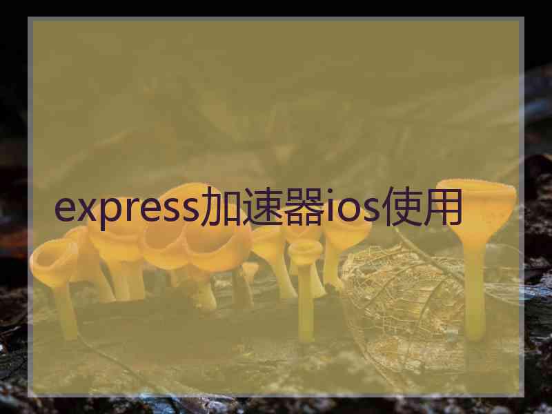 express加速器ios使用