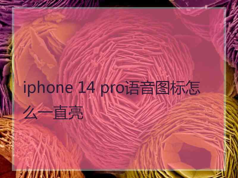 iphone 14 pro语音图标怎么一直亮