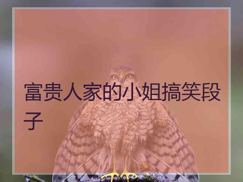 富贵人家的小姐搞笑段子