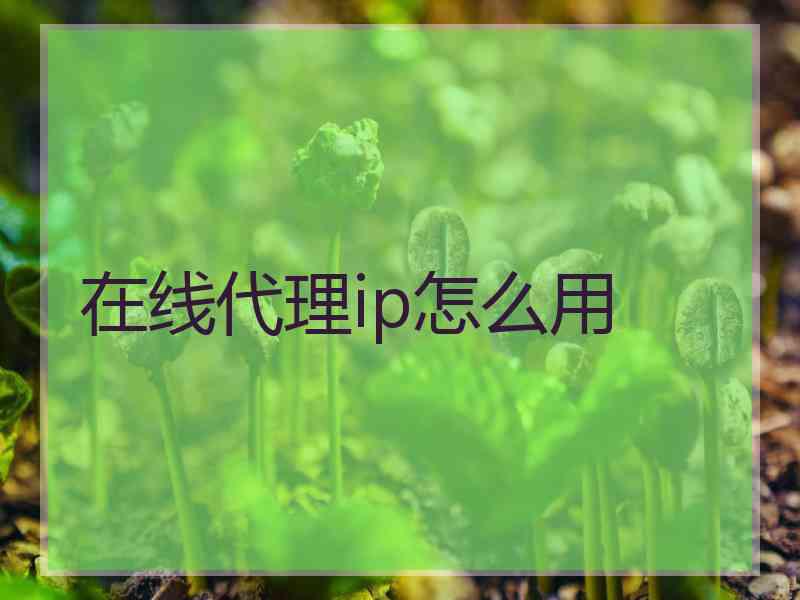 在线代理ip怎么用