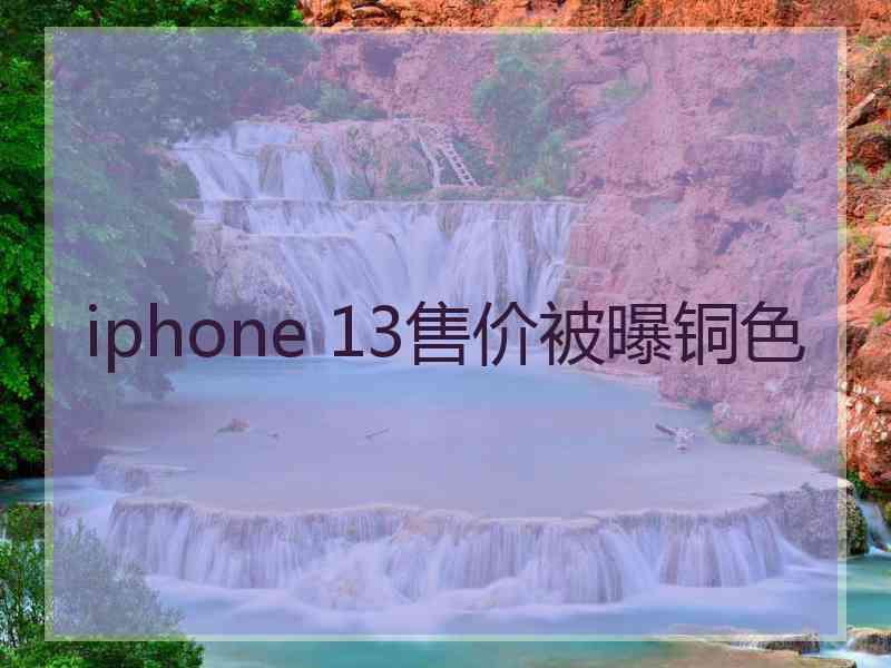 iphone 13售价被曝铜色