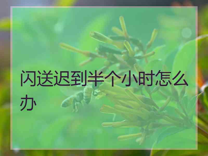 闪送迟到半个小时怎么办