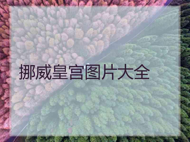 挪威皇宫图片大全