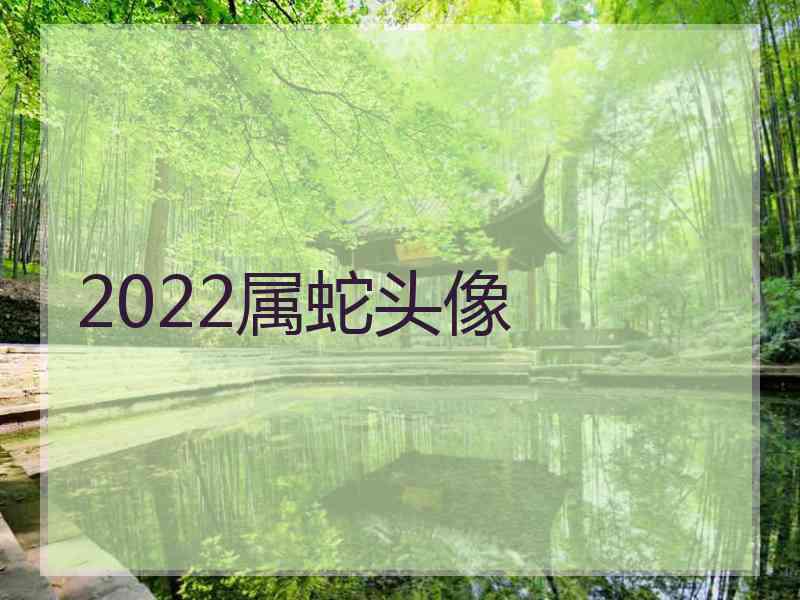 2022属蛇头像