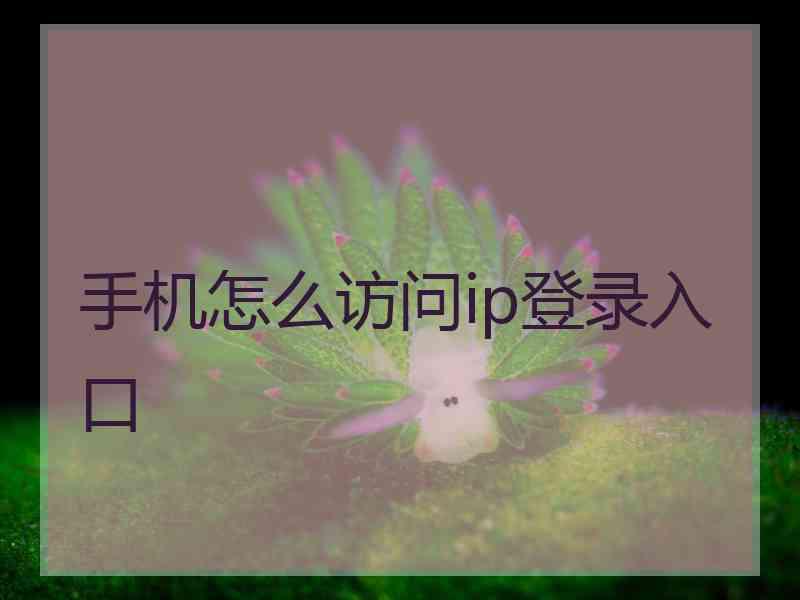 手机怎么访问ip登录入口