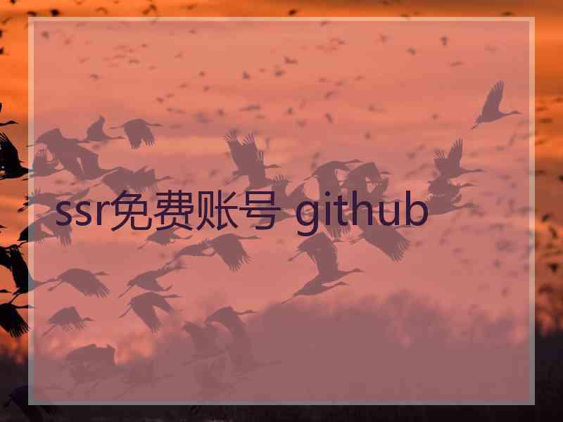 ssr免费账号 github