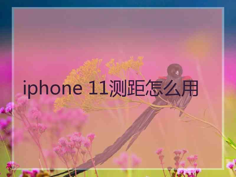 iphone 11测距怎么用