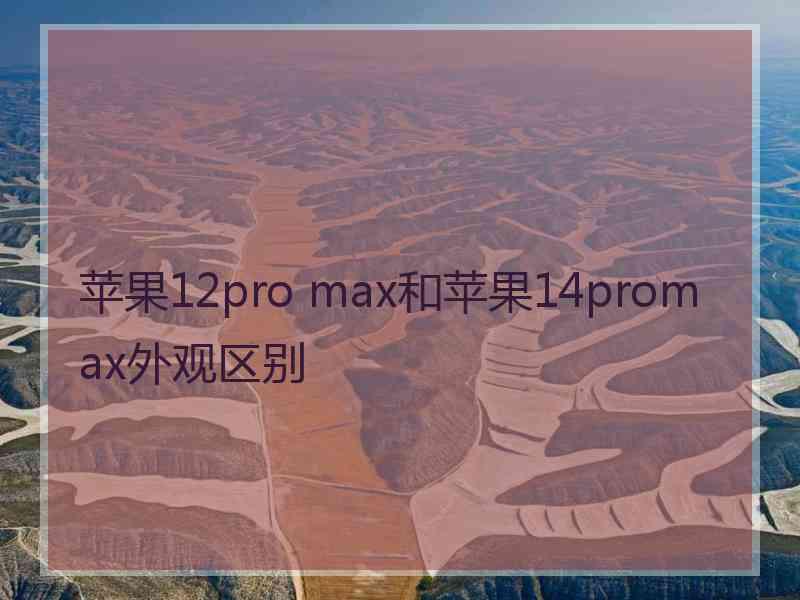 苹果12pro max和苹果14promax外观区别