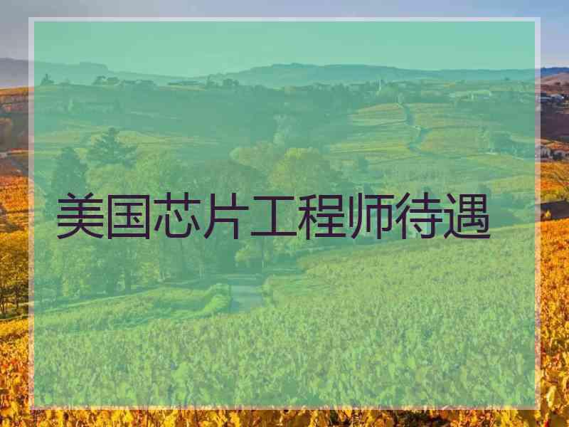 美国芯片工程师待遇